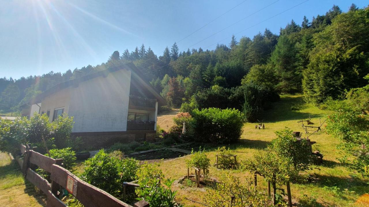 Hotel Pension Ernst Im Herzen Des Pfaelzerwaldes Mit Kueche Elmstein Exterior foto