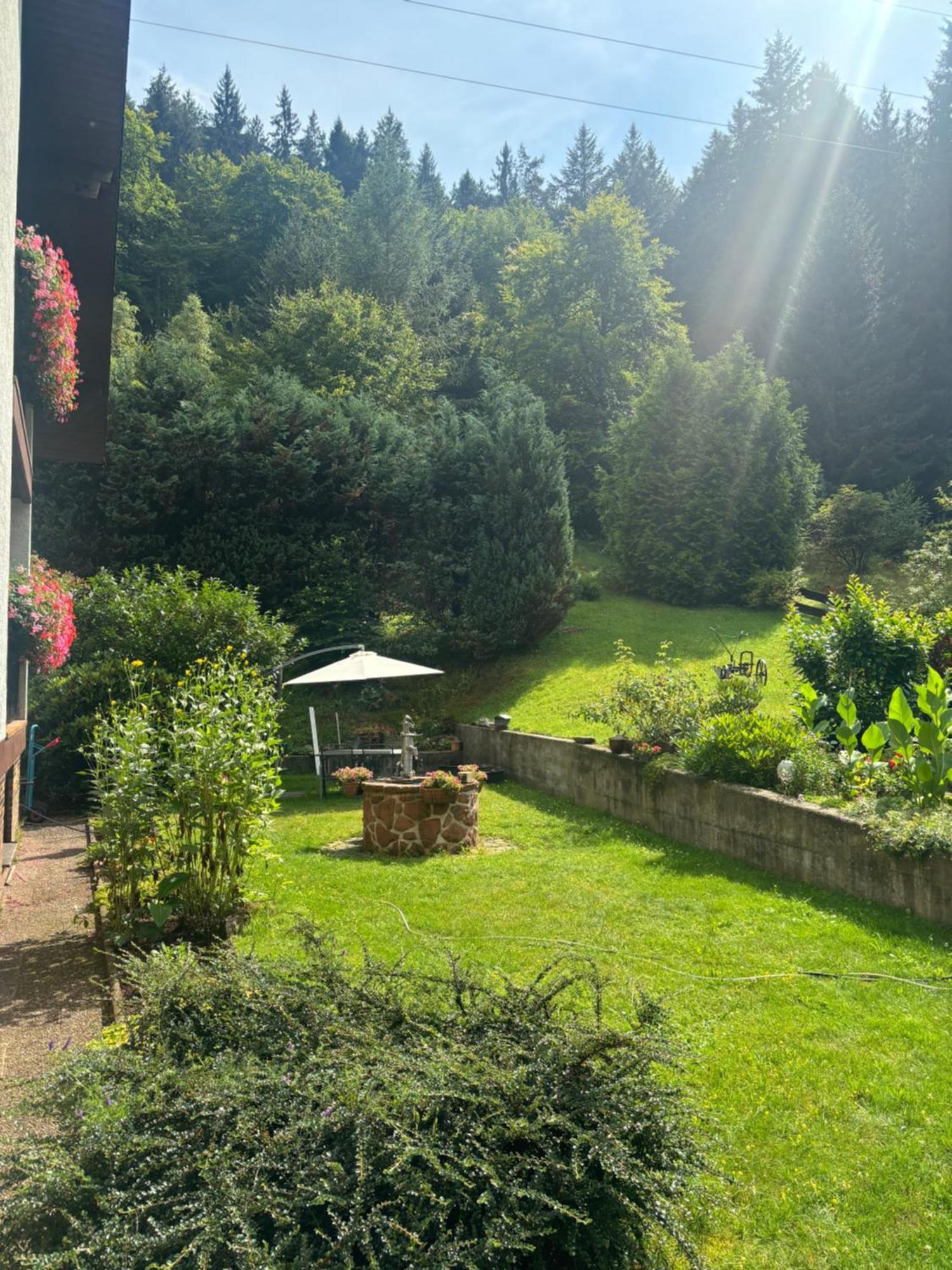 Hotel Pension Ernst Im Herzen Des Pfaelzerwaldes Mit Kueche Elmstein Exterior foto